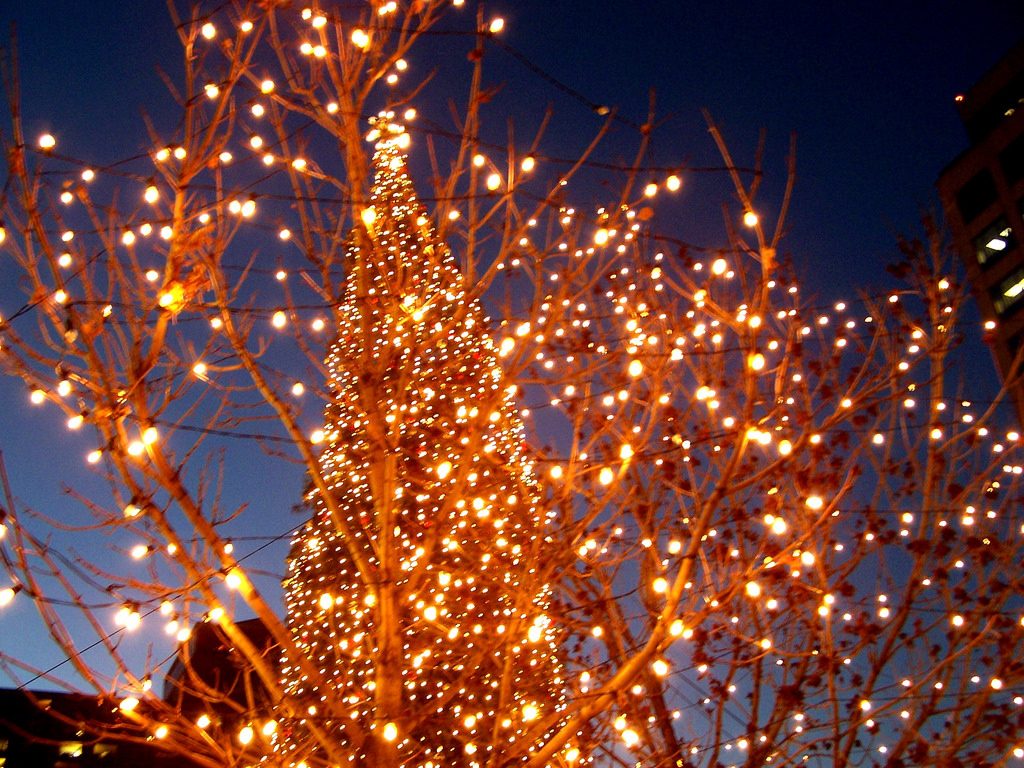 holiday activities in johnson county