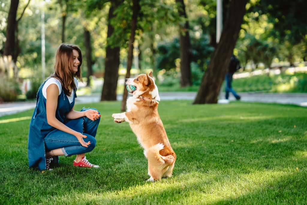 best dog parks in kansas city